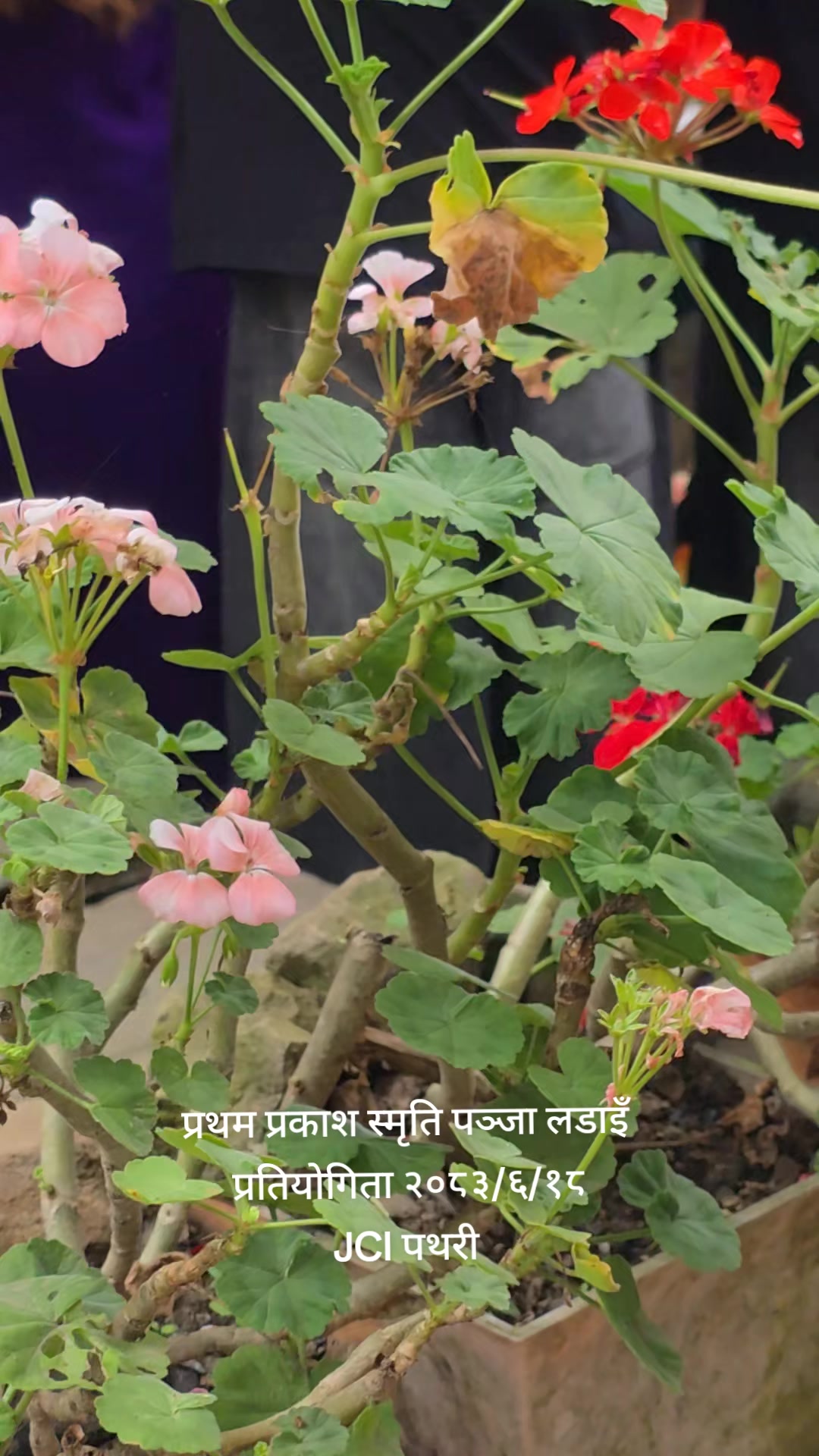 @pradip19786