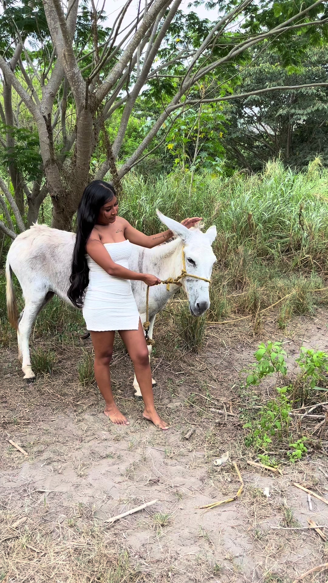 @La Divi Michtt