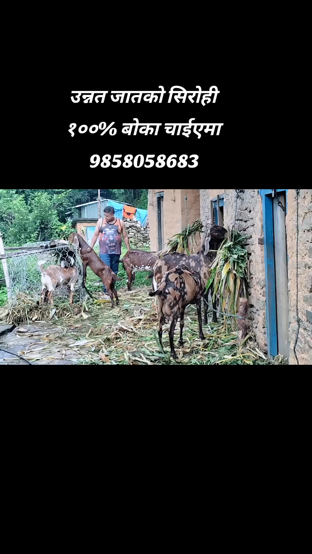 @kabiram budhathoki