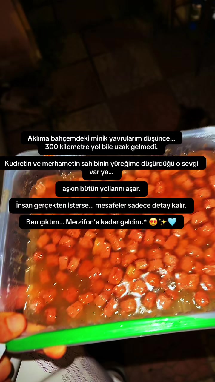 @Suzan❤️ 🐾 angel 😉