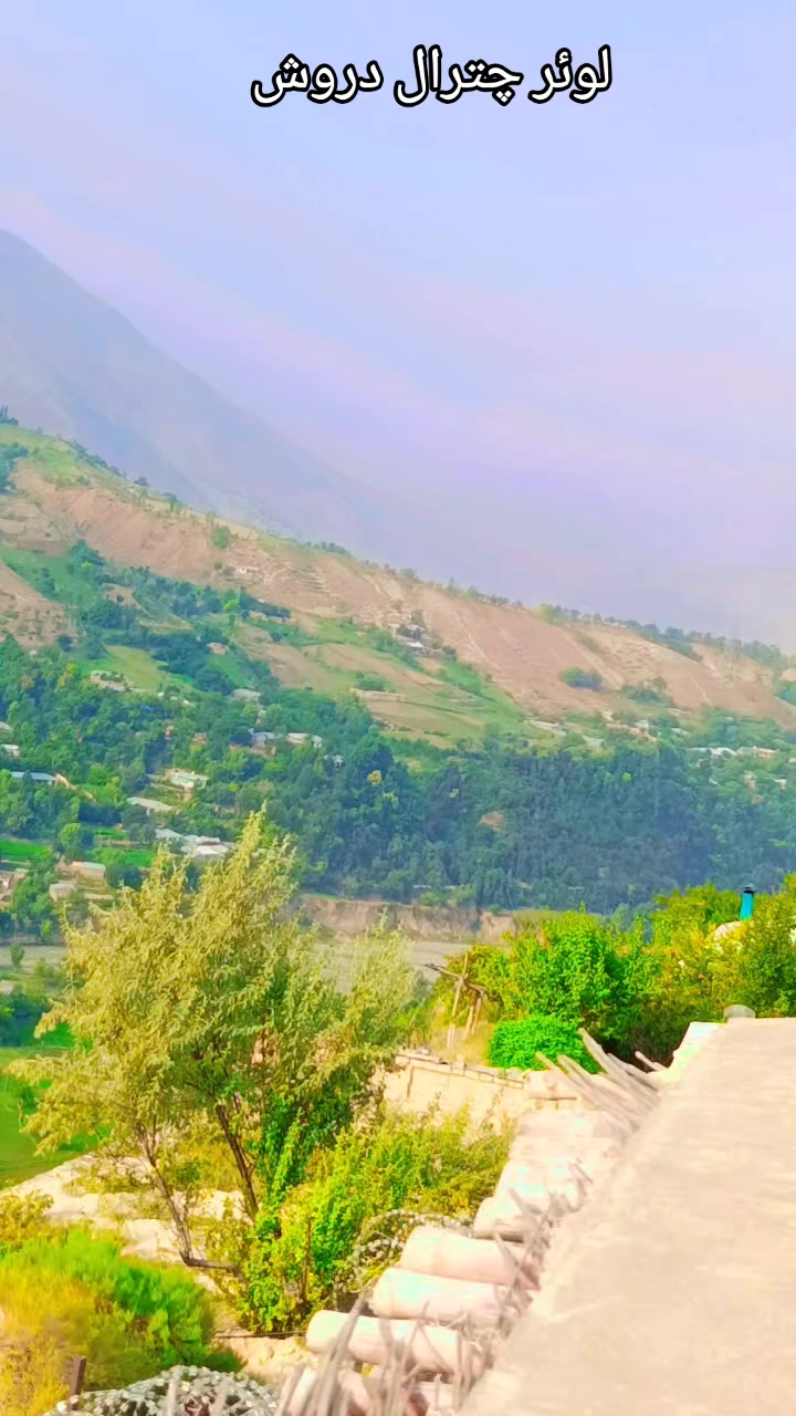 @Umar حمید