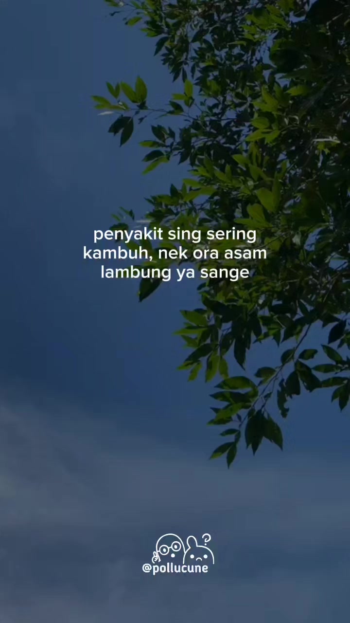 @๐ฃ๐ข๐๐๐จ๐๐จ๐ก๐