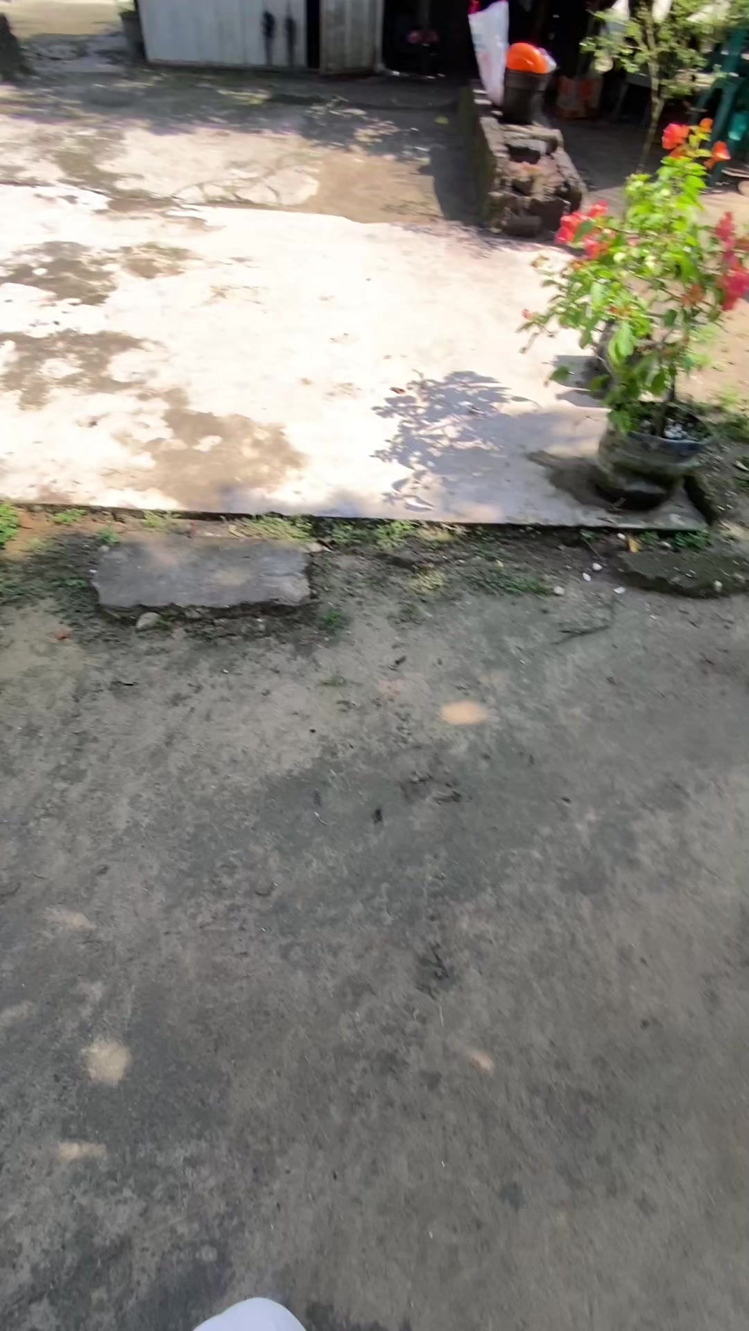@p