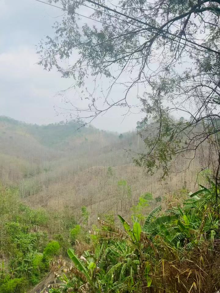 @NAZU🫀🇯🇵