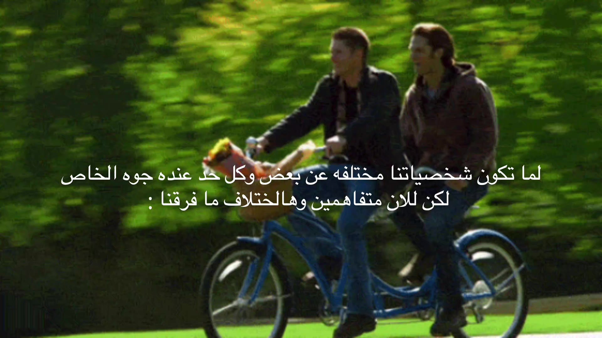 @" حَـفـصـةٌ🕯️".