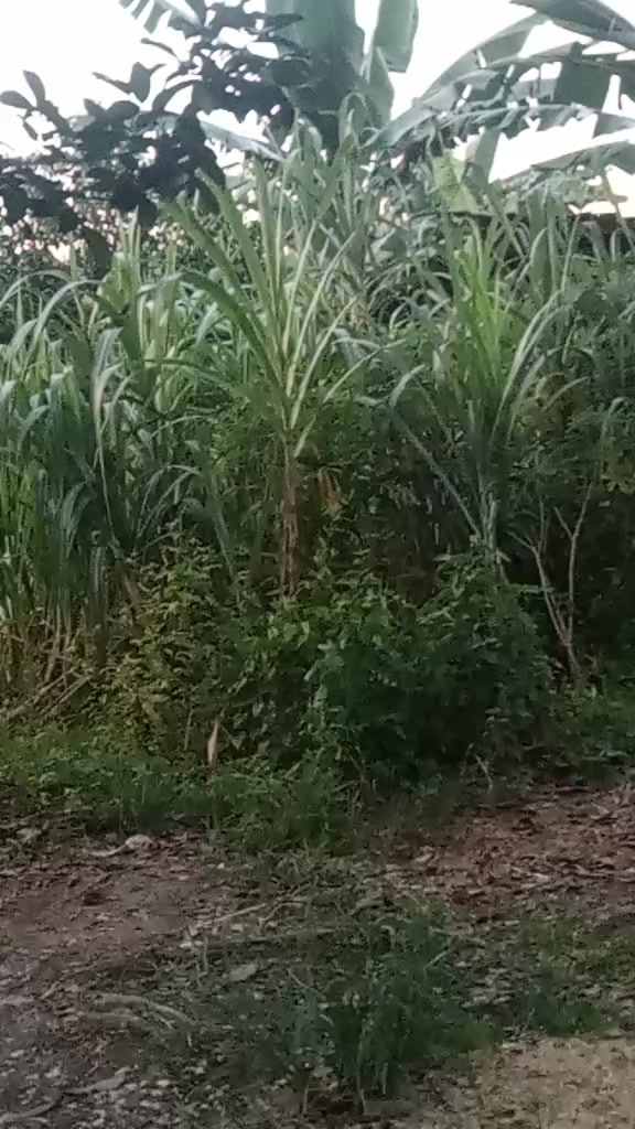 @🤘alexa🤘