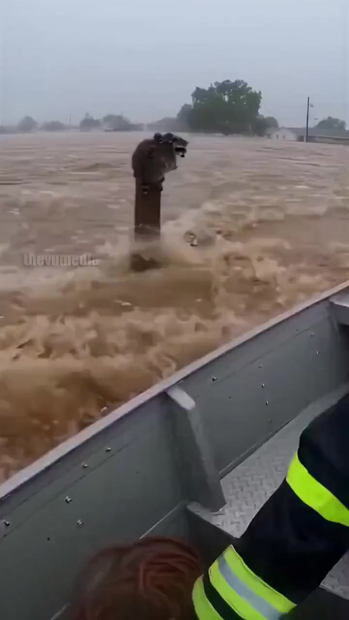 @晃晃悠悠