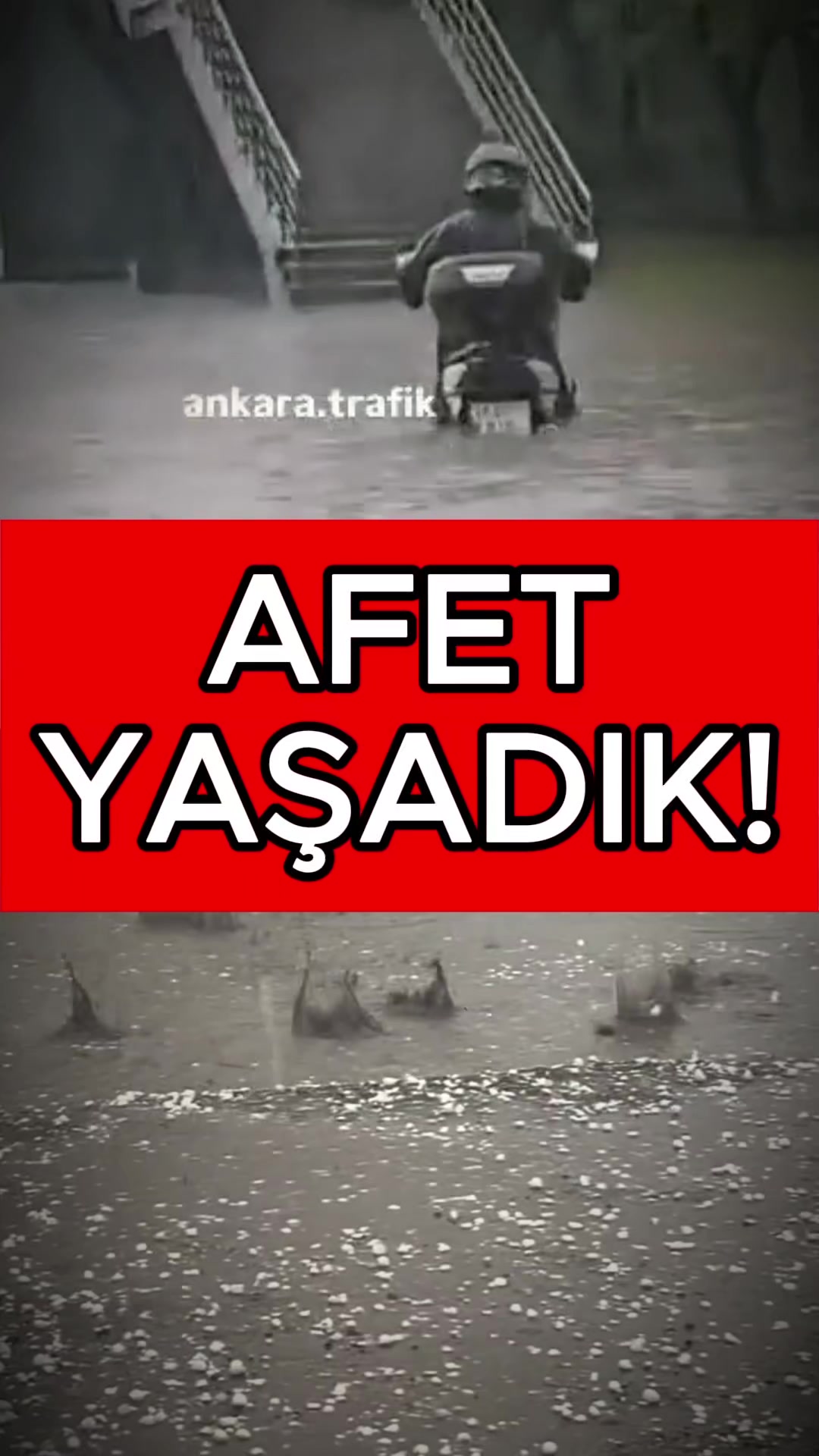 @Havadar