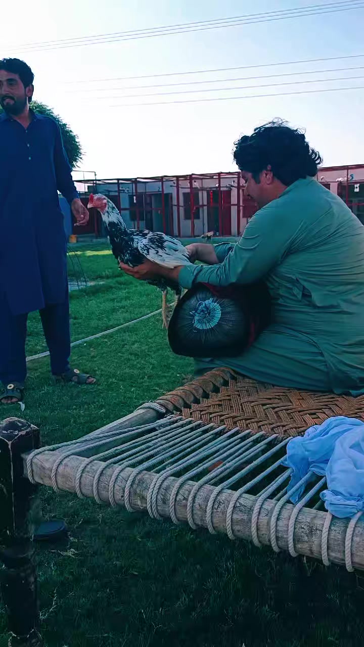 @ustadfarooqazamkhan