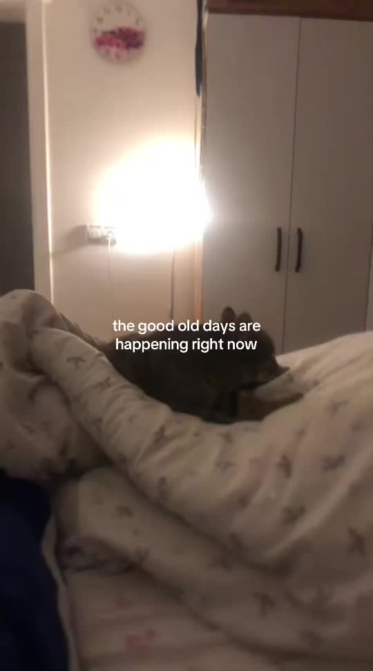 @sulenitta