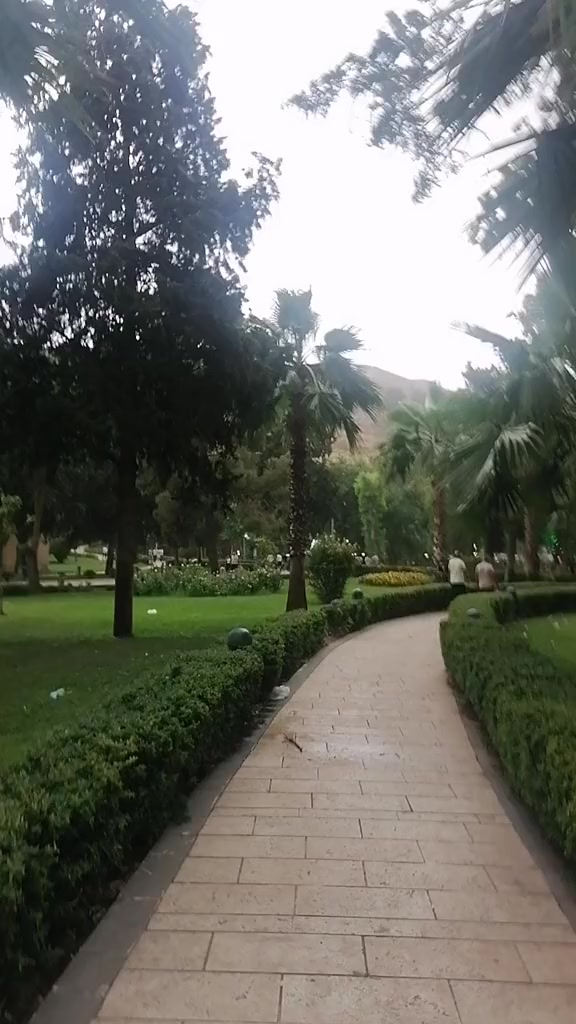 @Muhsin33
