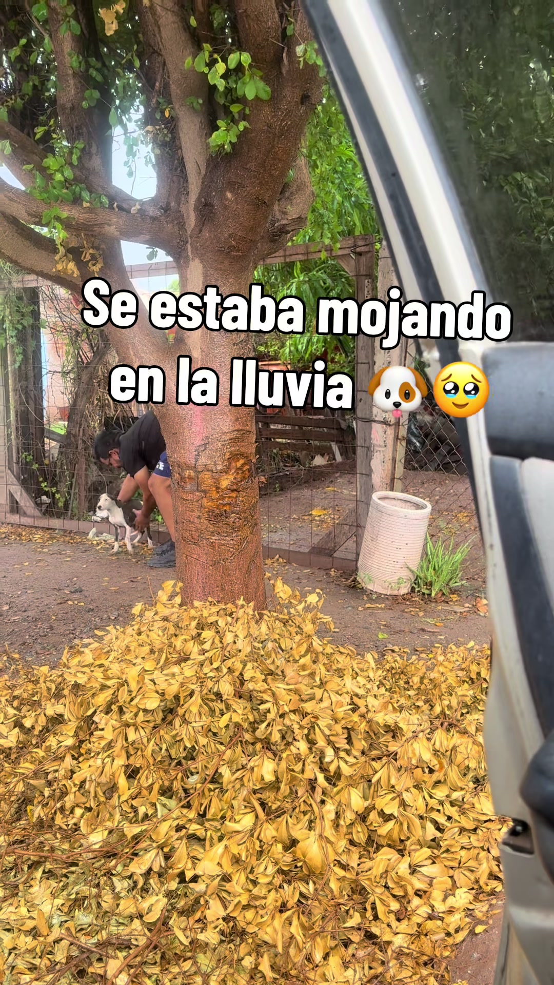 @Lili Alvarez