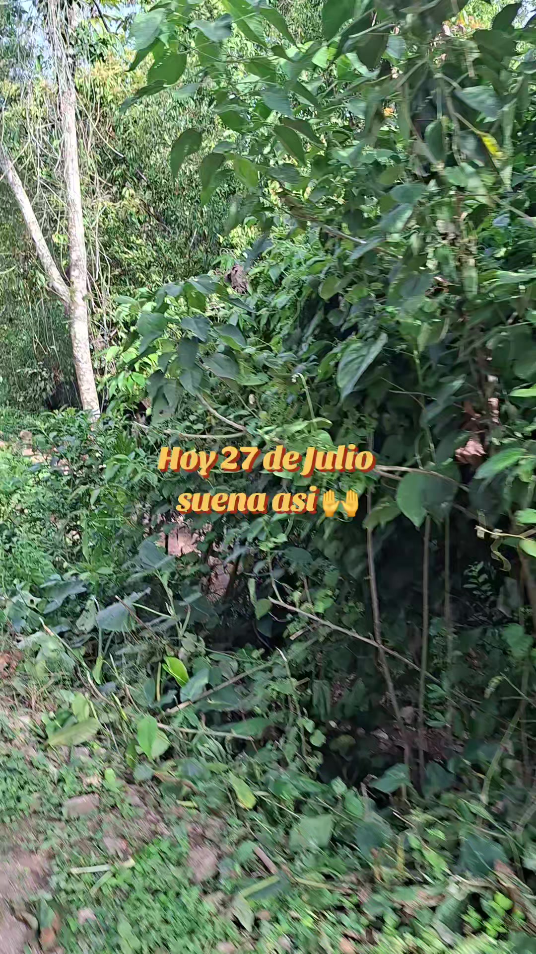 @Emil Juarez