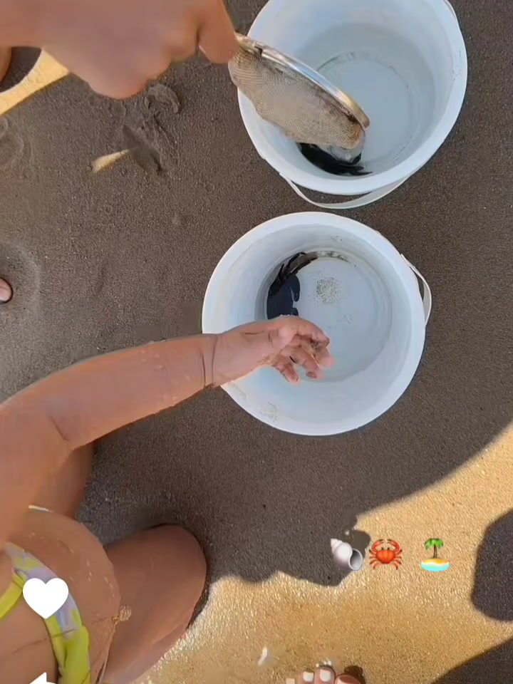 @chahinez_