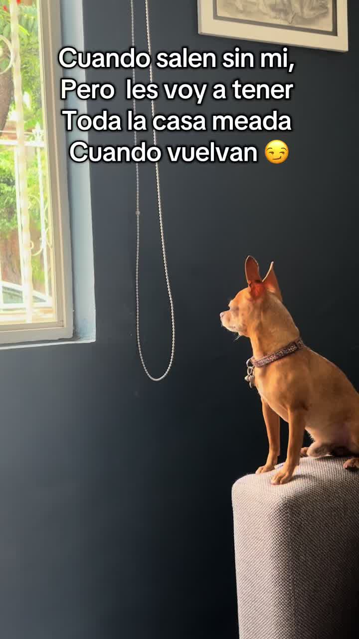 @luzglam