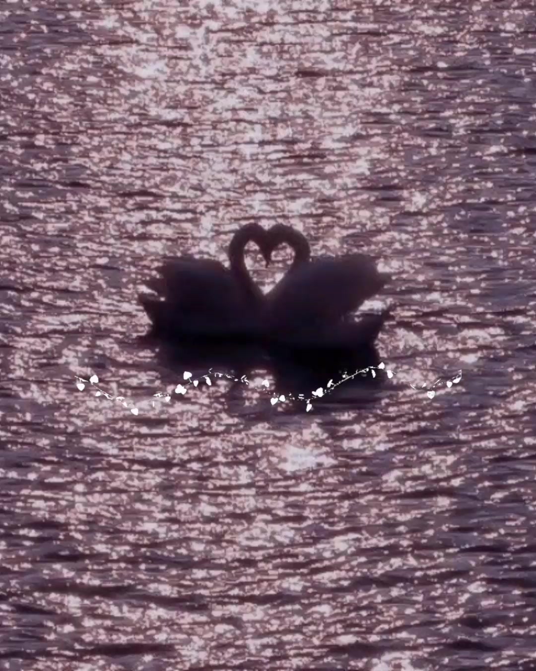 @𝐵𝑖𝑏𝑙𝑖𝑜𝑝ℎ𝑖𝑙𝑒 🦢