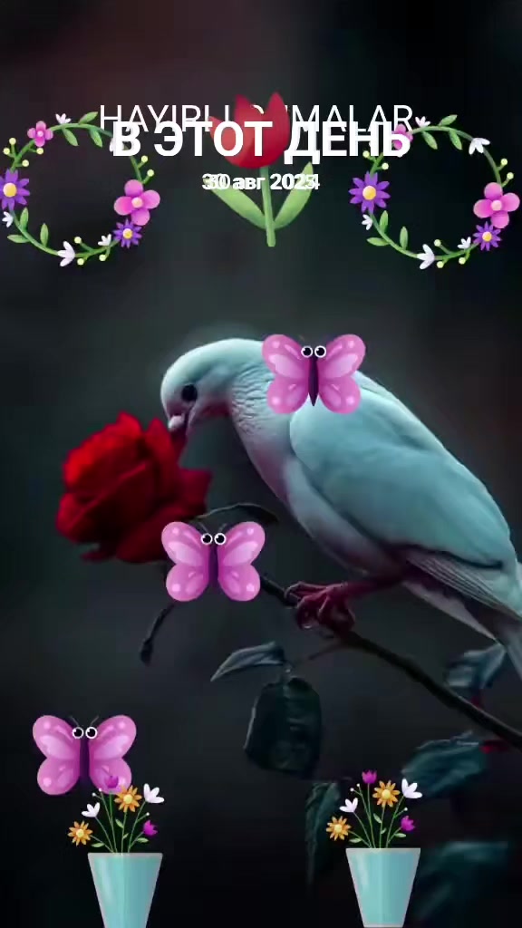@İMANKULOVA