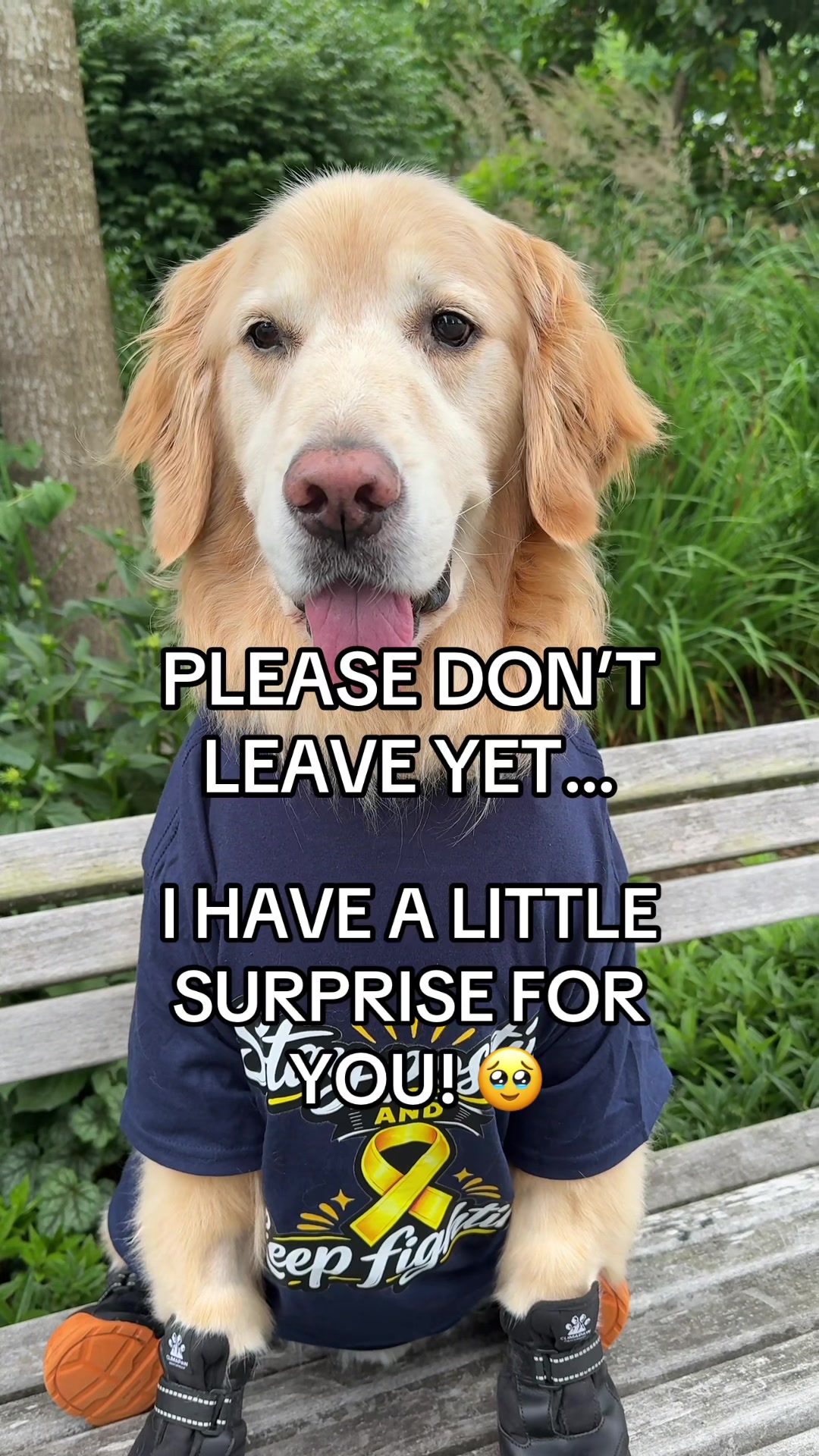 @A Golden and Fam