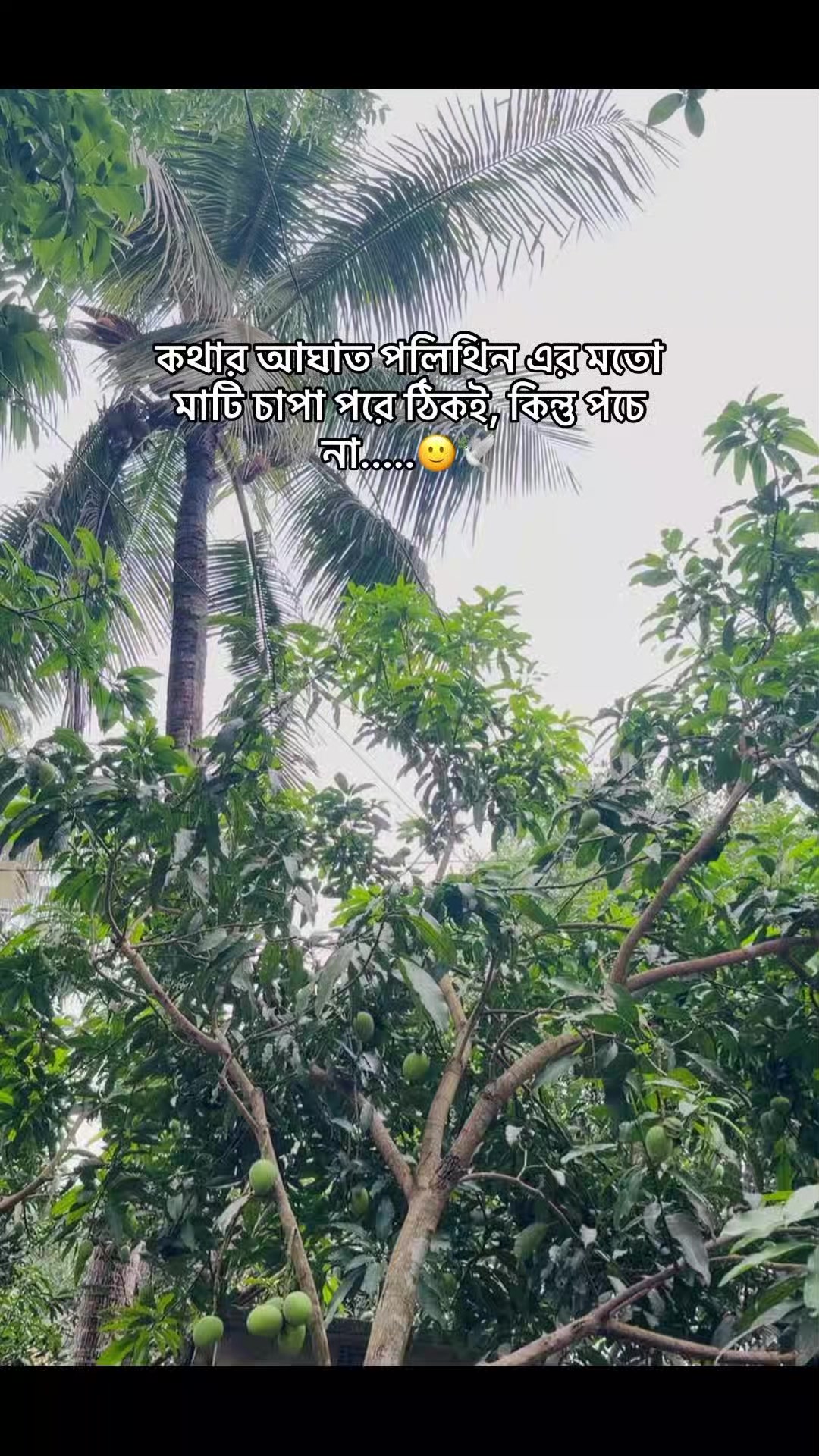 @LamiyađĻđĨ Islam đĨ°đšPrithibi