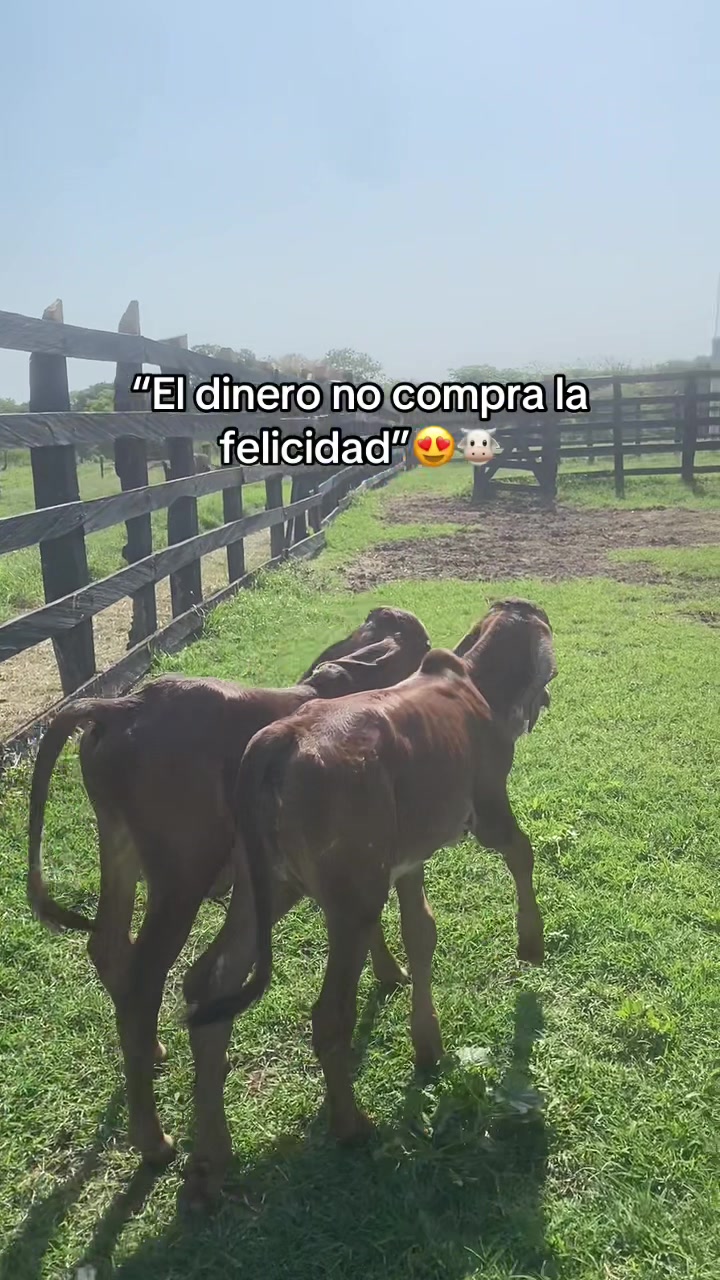 @Castañeda Rubio 🤠❤️