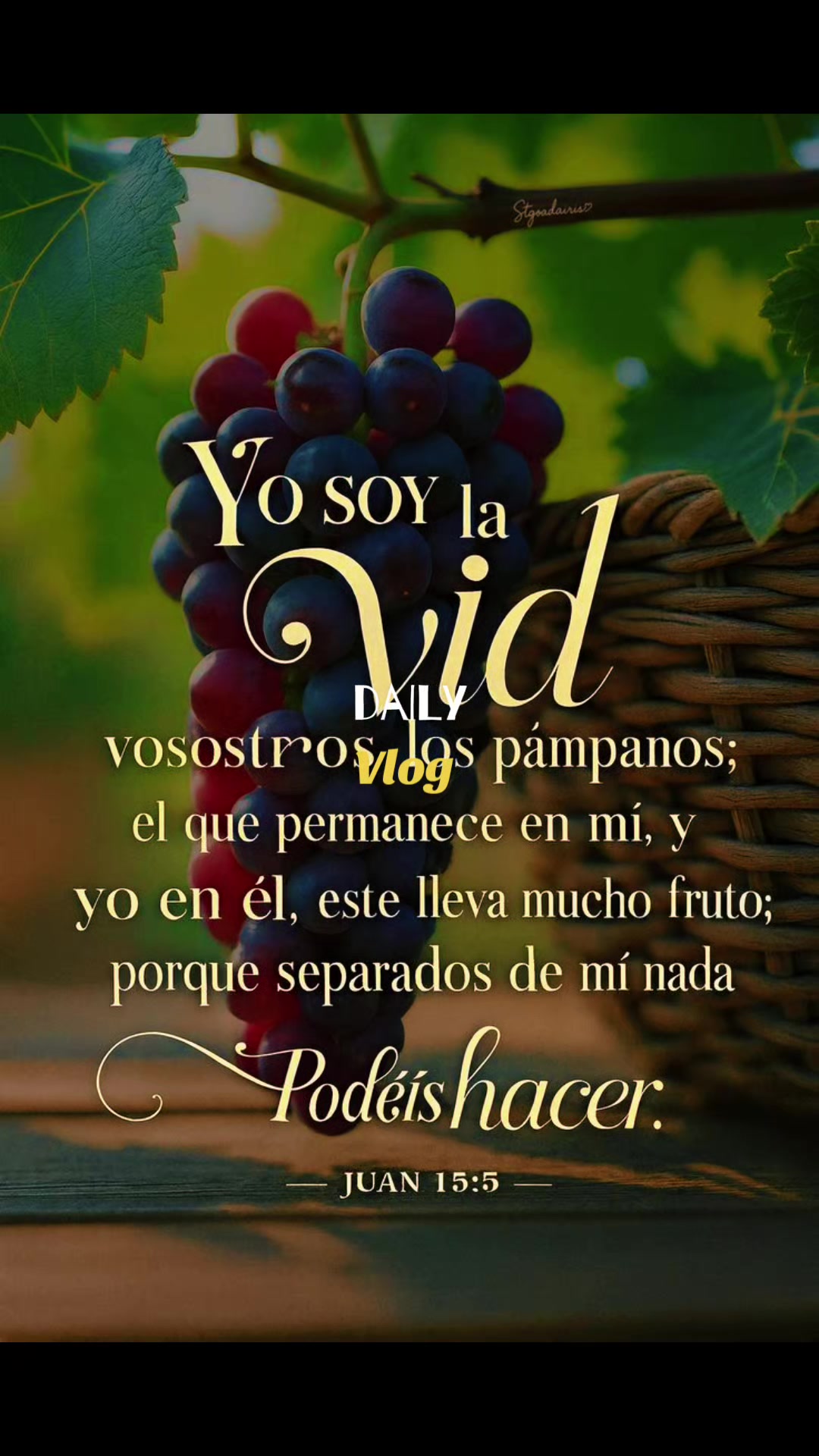 @☘️BETO🦅