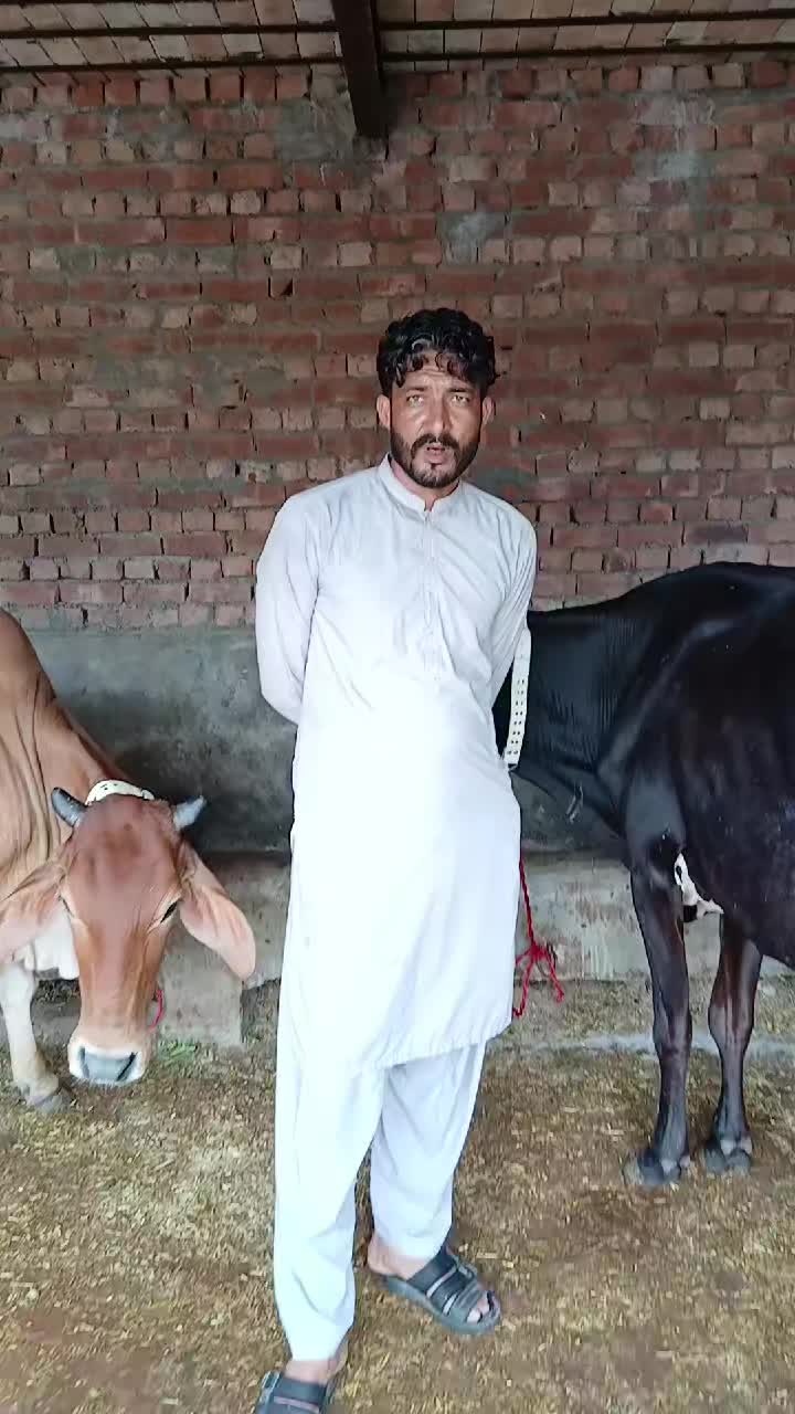 @Farming and Business Ideas