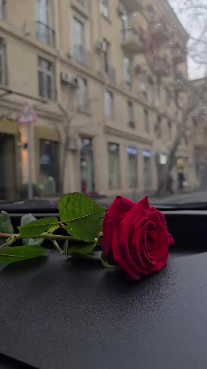 @ULDUZ❤G___V♡🔐