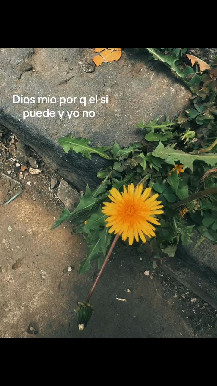 @lupita001