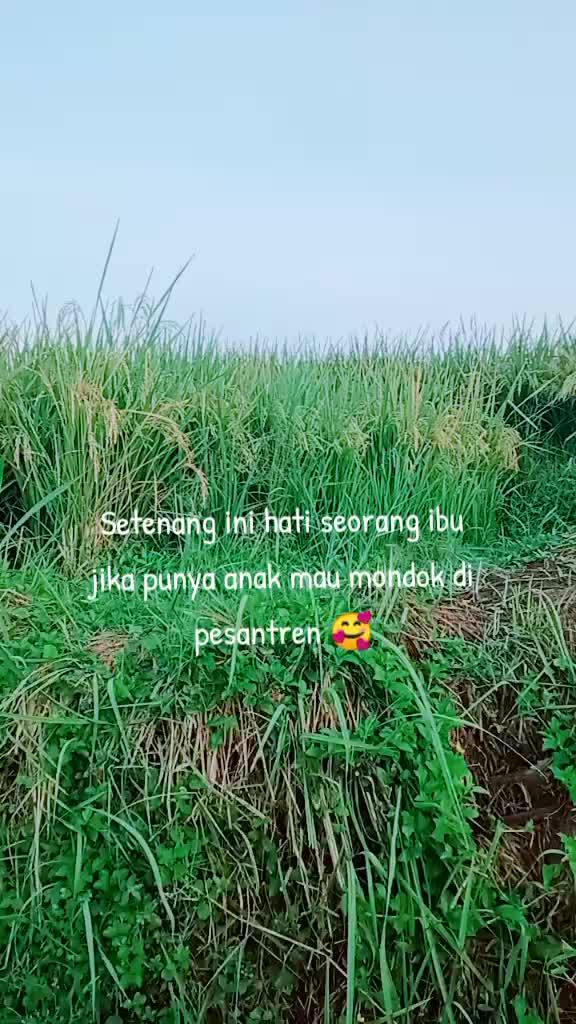 @Niniknur