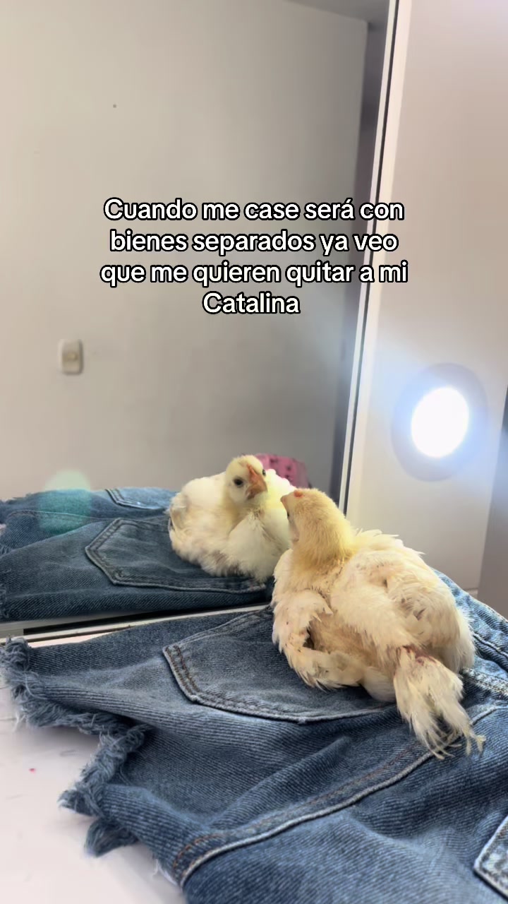 @soydahian__