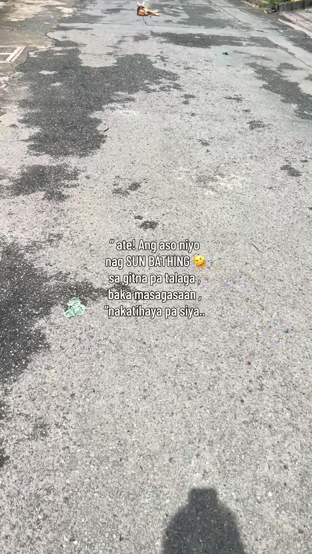 @๐ป๐ธ28๐ฌ๐ฑ๐ฎ๐ฎ๐พ