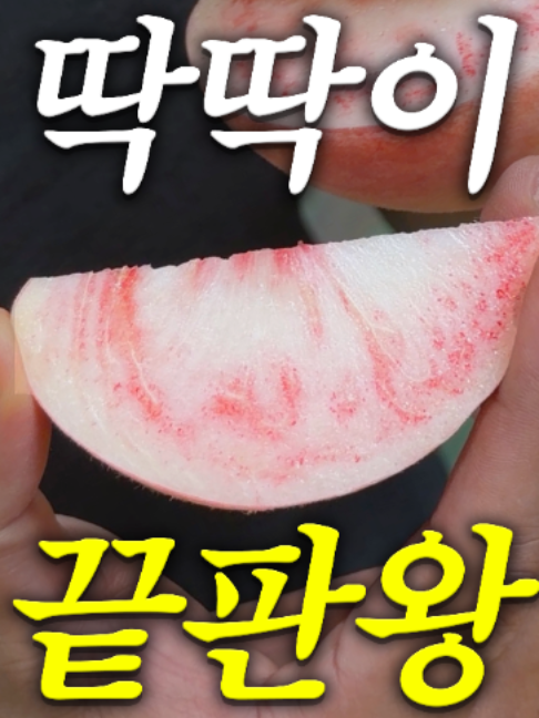 @해운대송사장