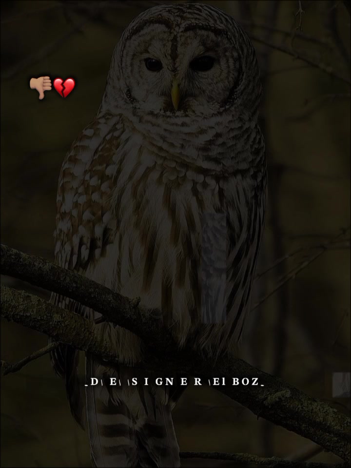 @๐๐๐๐๐
-๐๐๐คด๐ผ๐ฆ