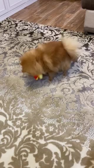 @Ирина Чижова