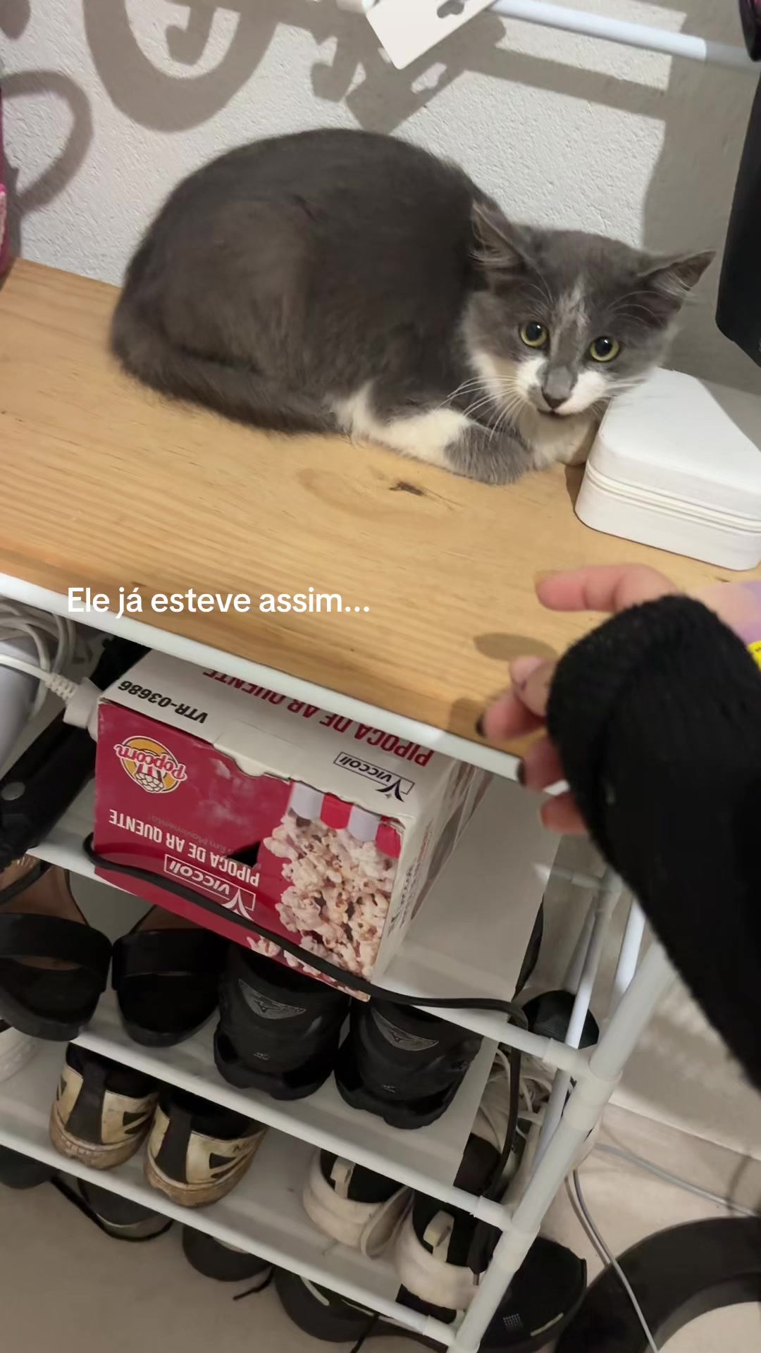 @sushasco