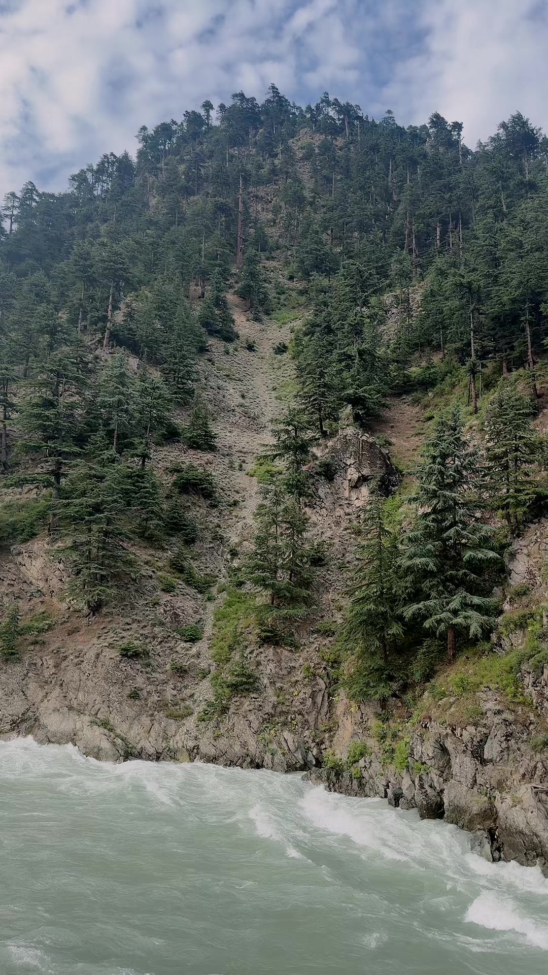 @Zahidarmanptitiger🥰