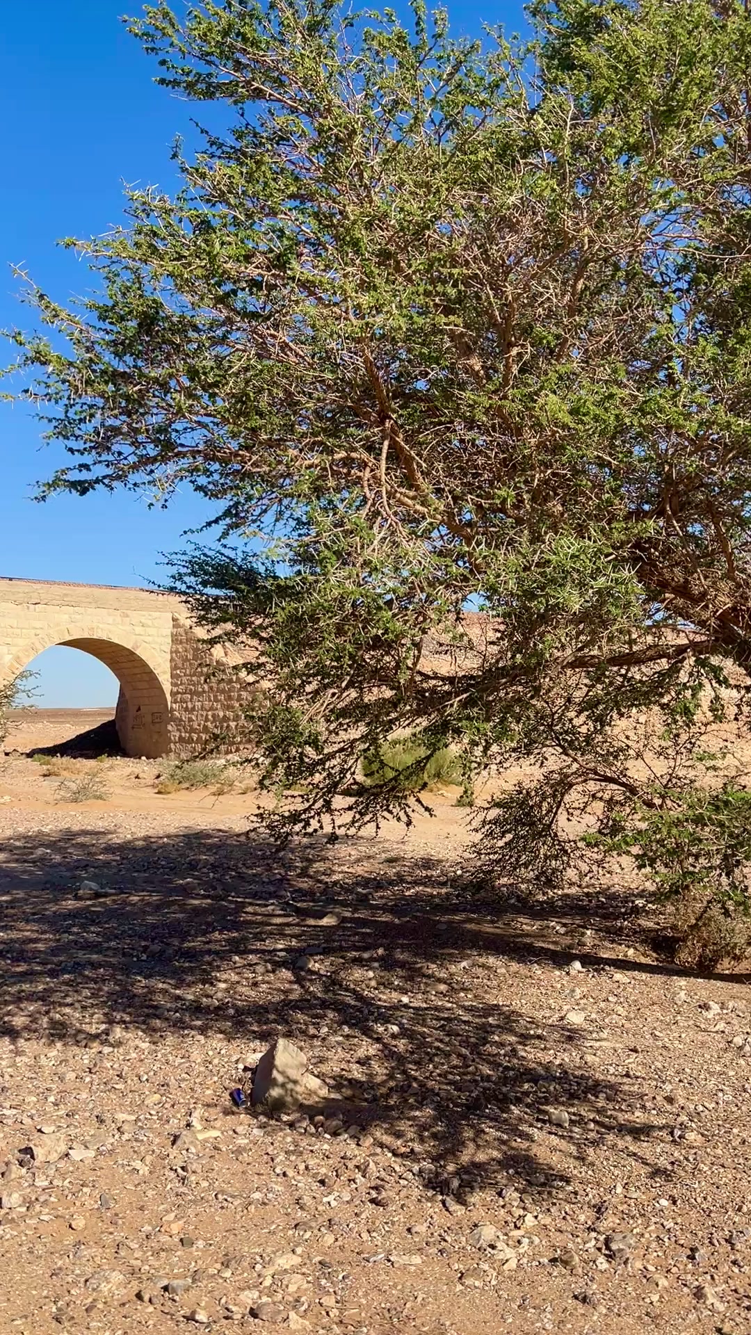 @ابومشعل