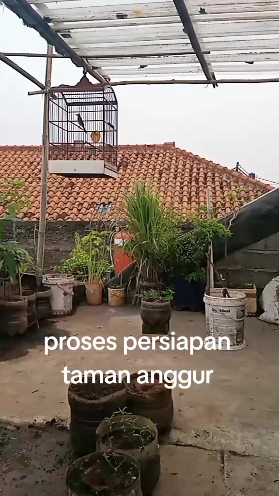 @play produk🛒