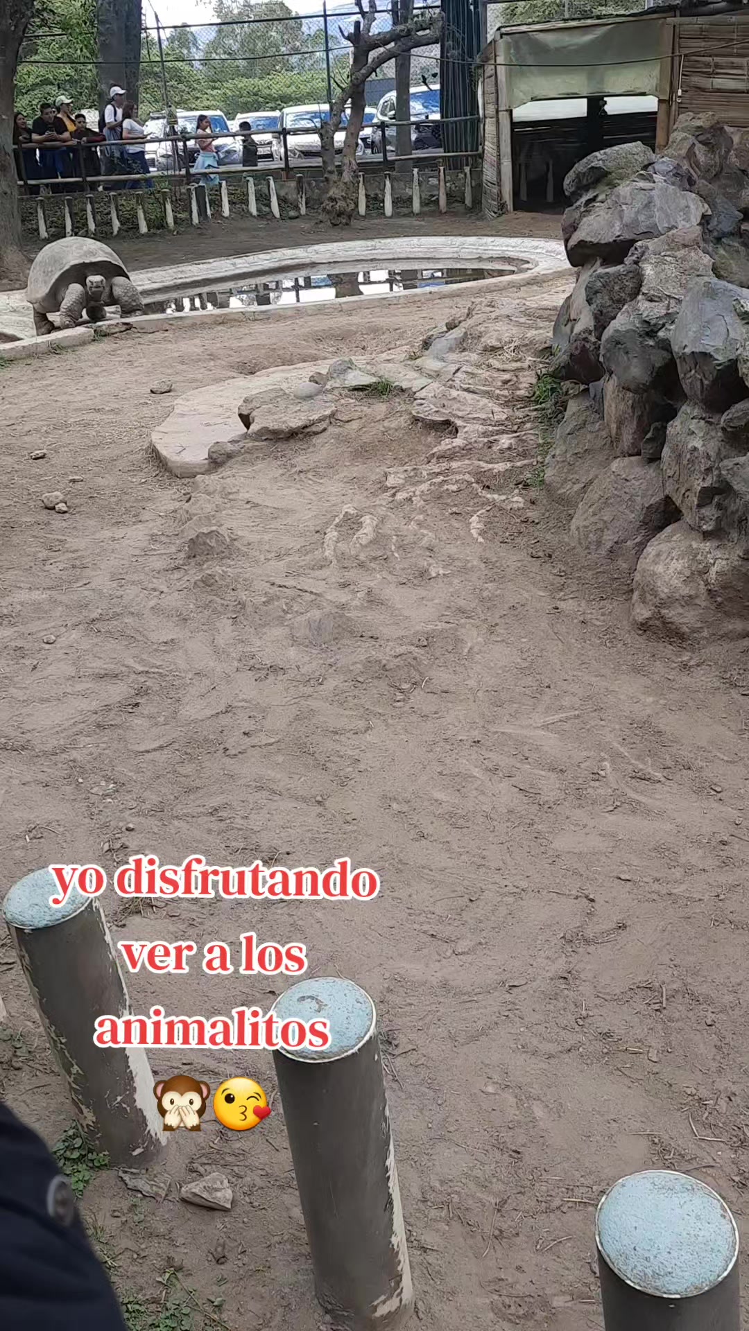 @🌌🐈💜Elvia Toaquiza👸🧿
