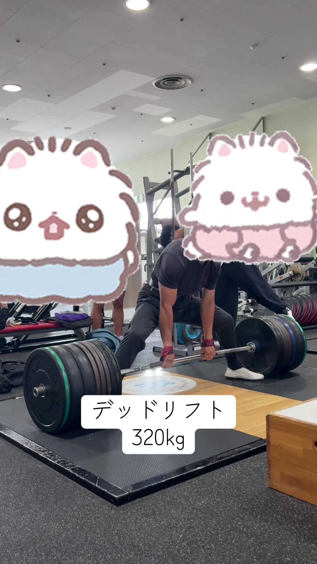@キクタン【円盤投げてます】