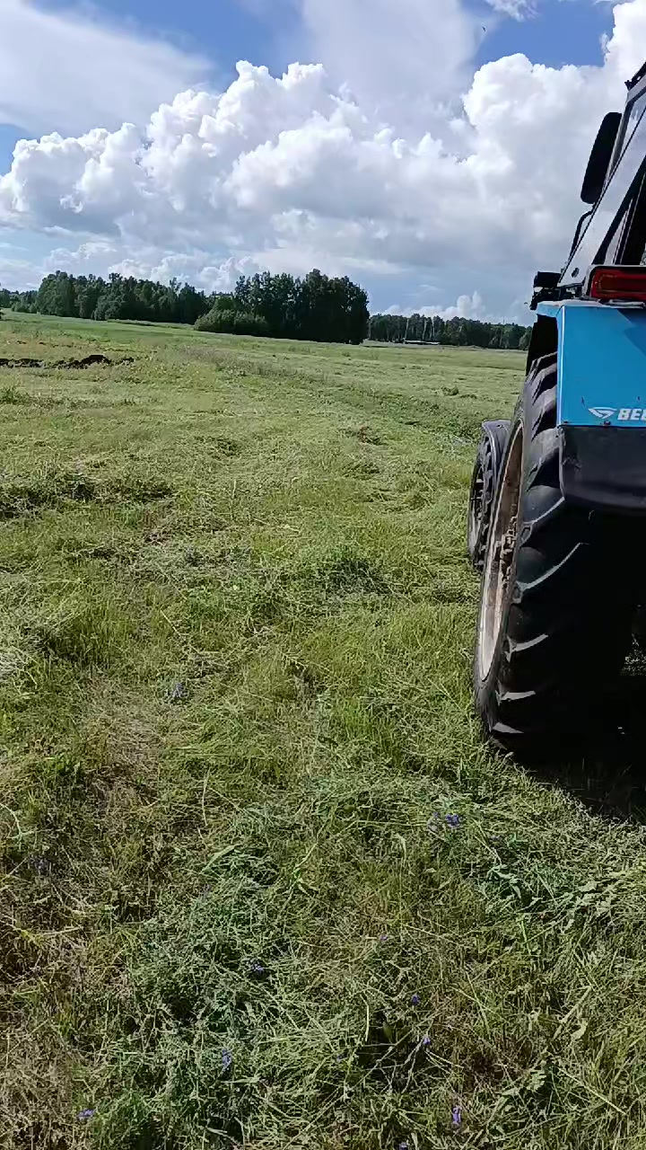 @55 Николайхрамов✌️✌️