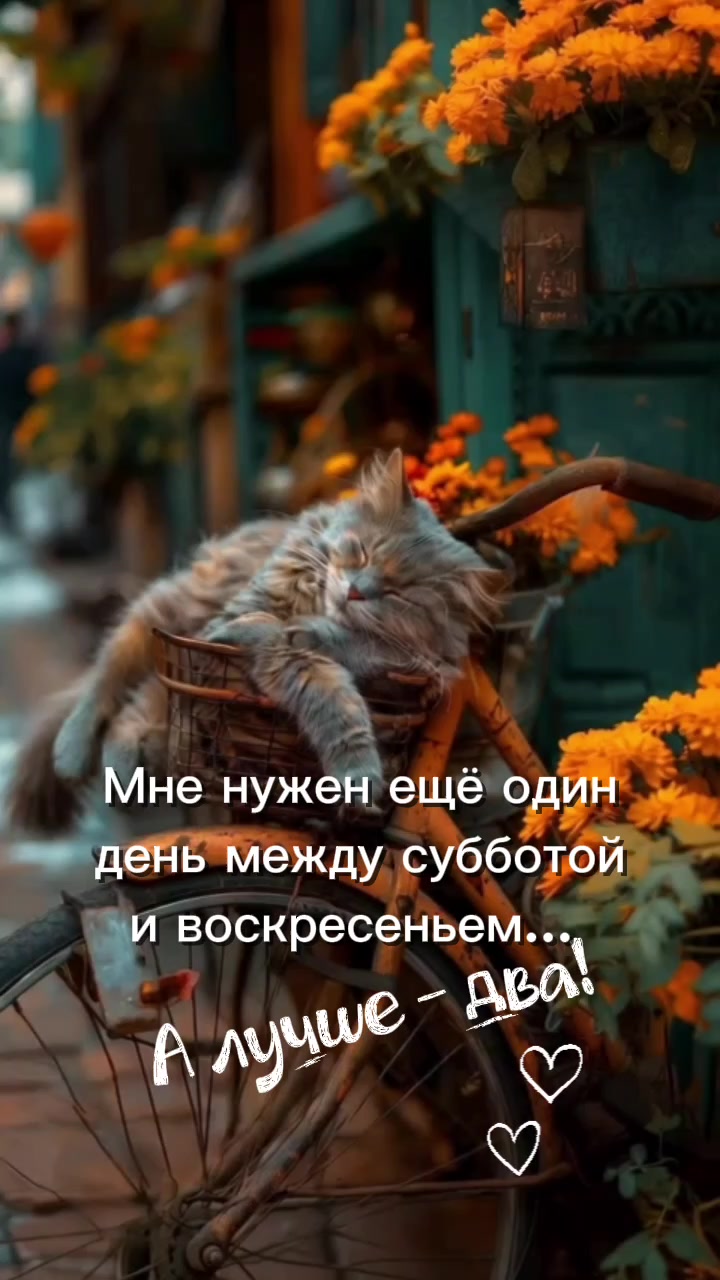 @Лариса Суворова