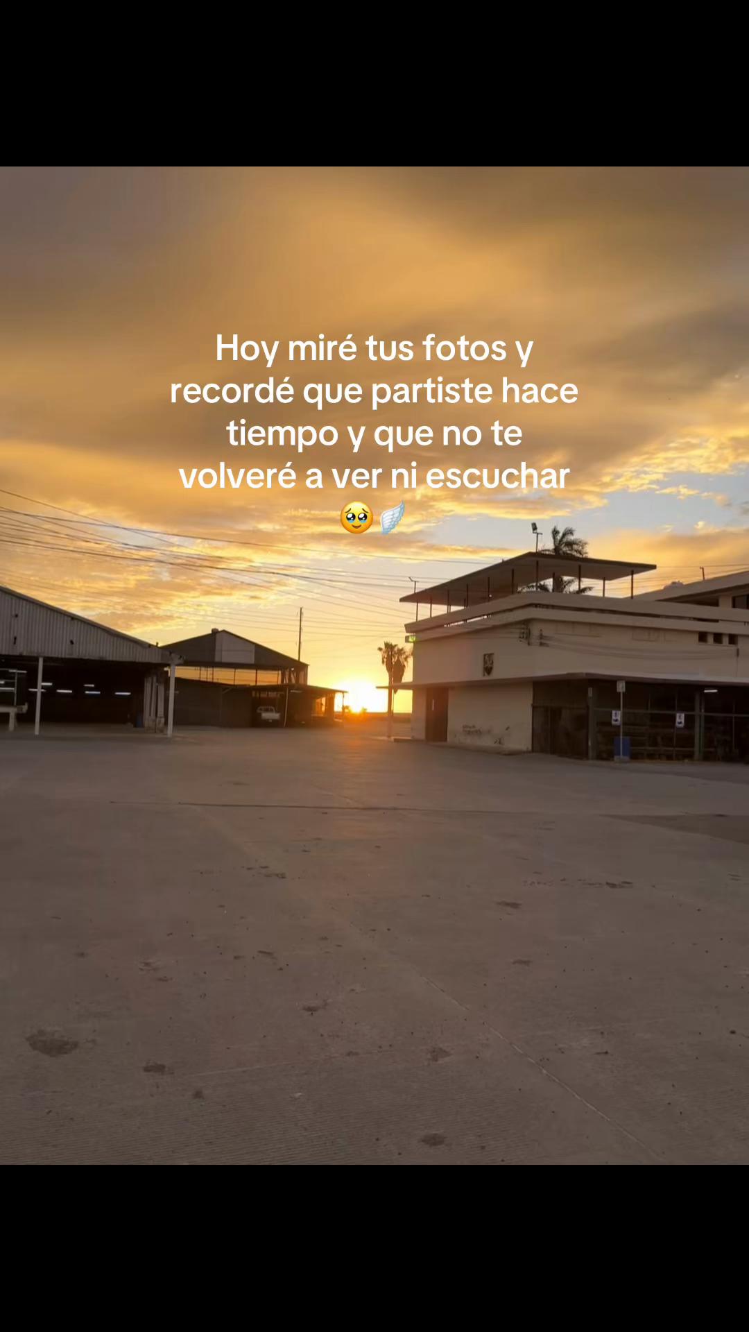 @perla medina