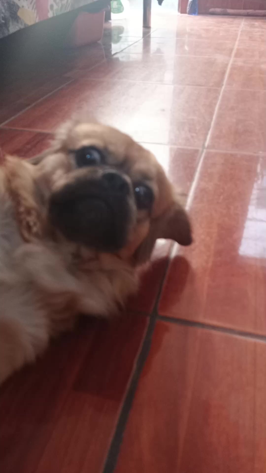 @Nirvan Aries