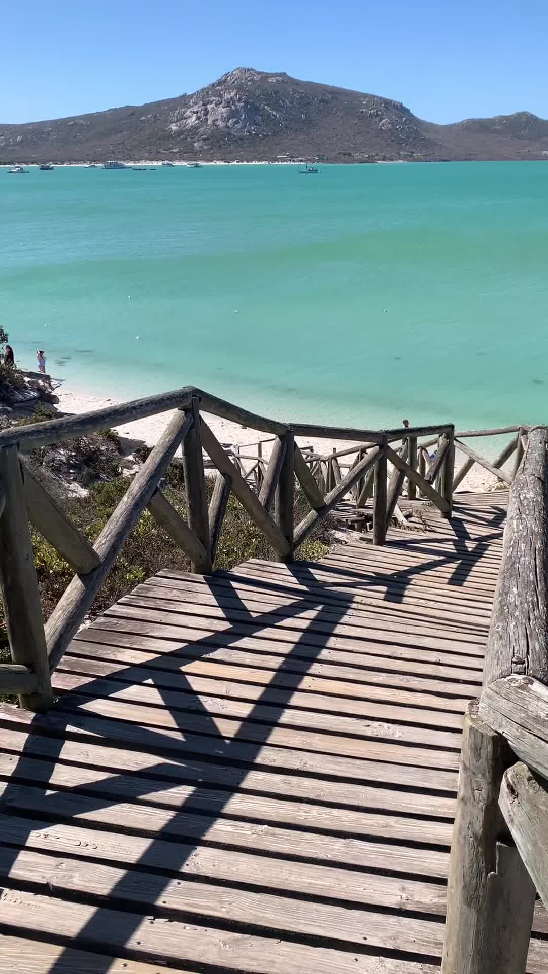 @Chezlyn Peacock