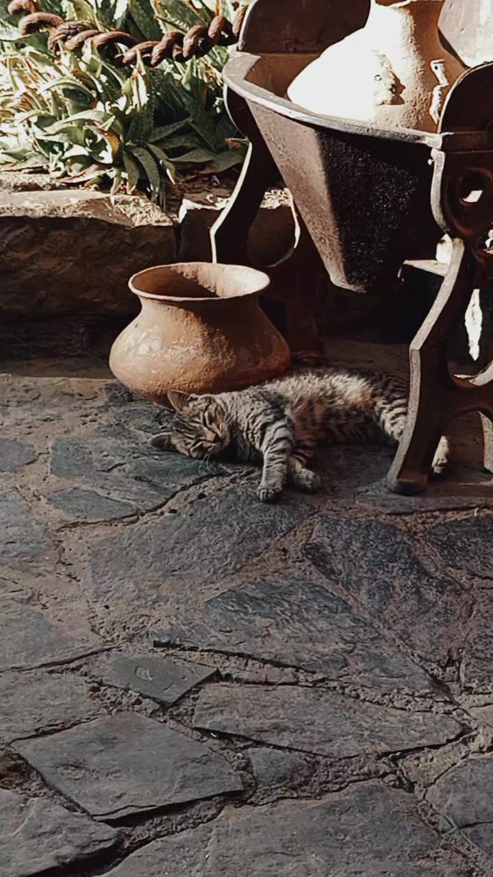 @🐦😘💓Fiorela❤🐈🐕