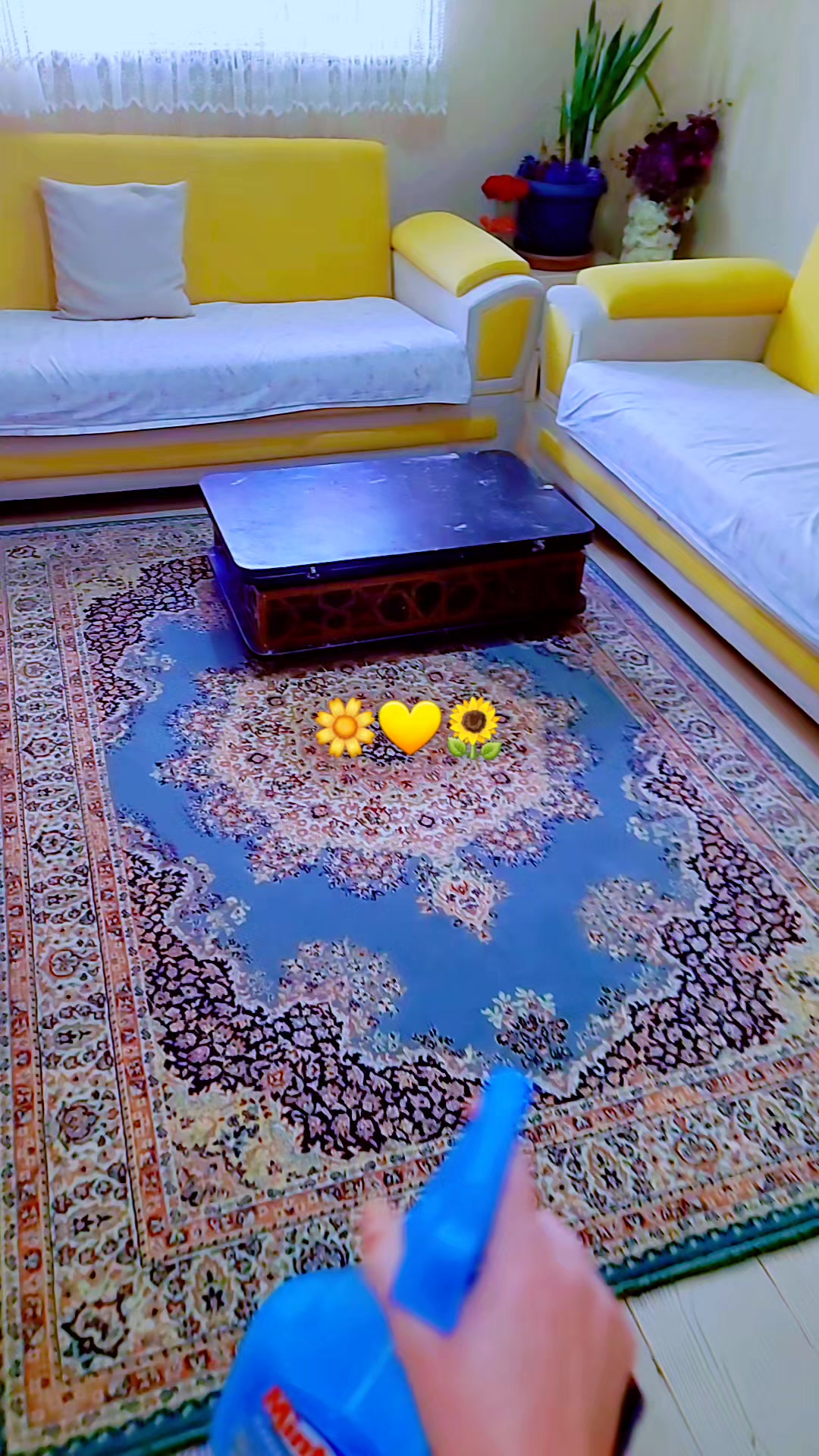 @🦋Rojino🦋