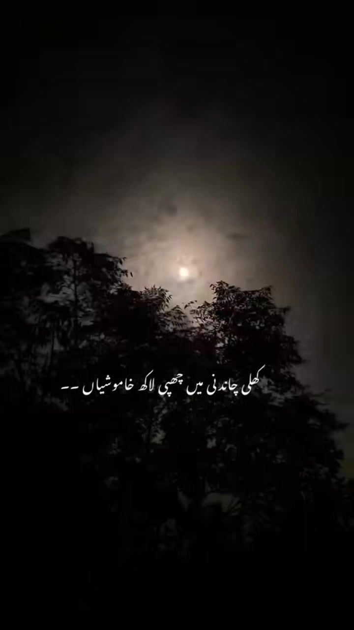 @ابو بکر
