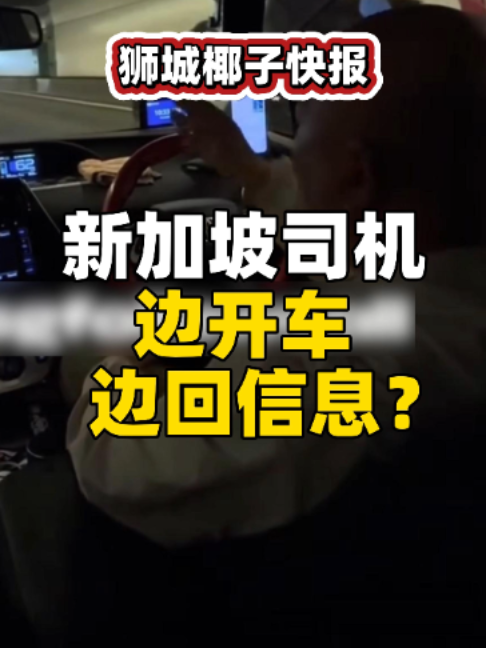 @新加坡狮城椰子