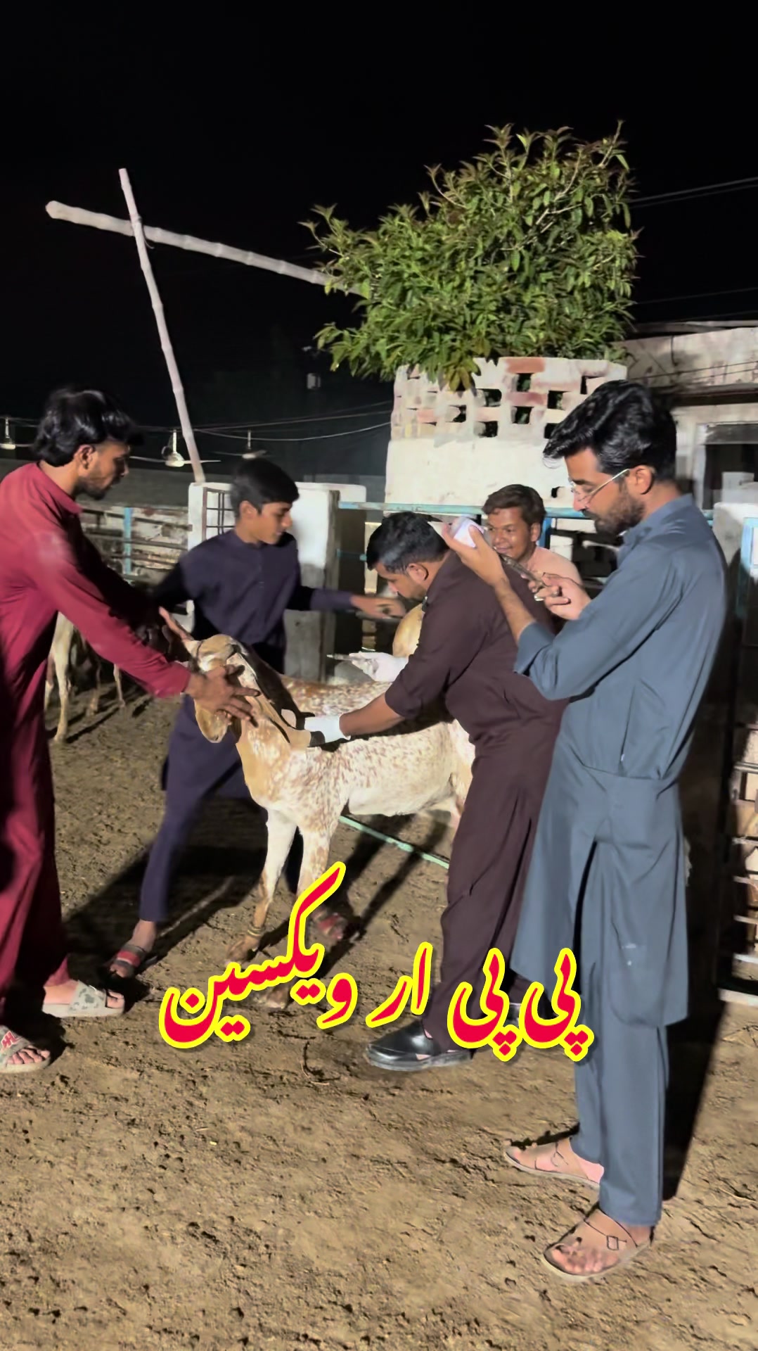 @Dr.Mohsin
